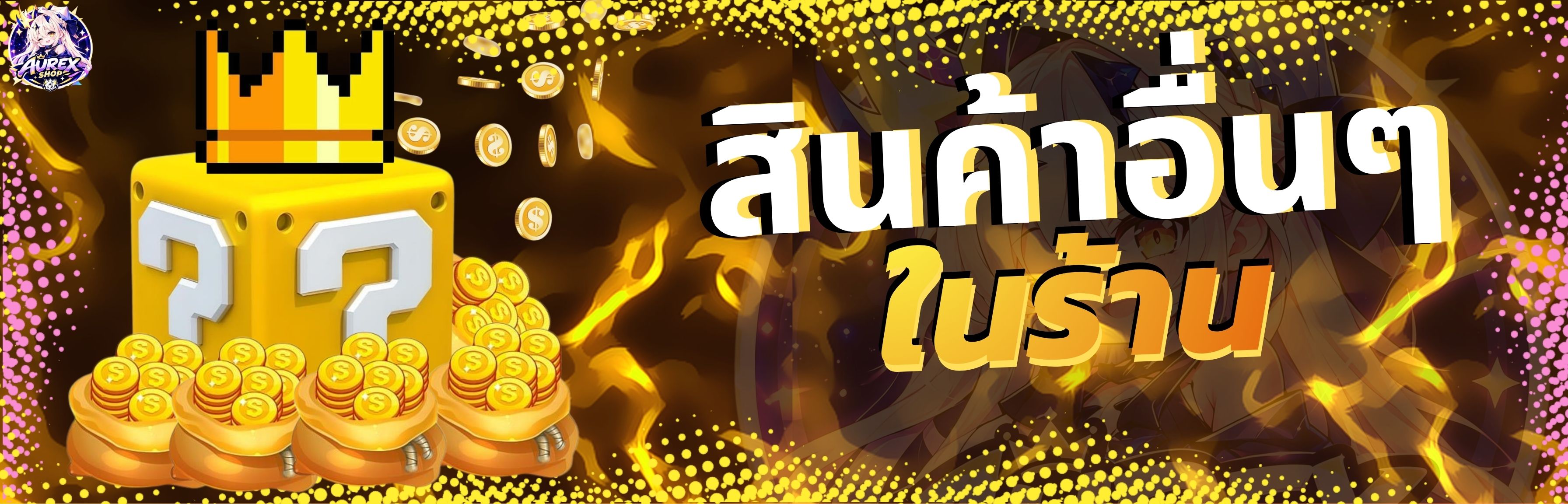 สินค้าอื่นๆในร้านค้า